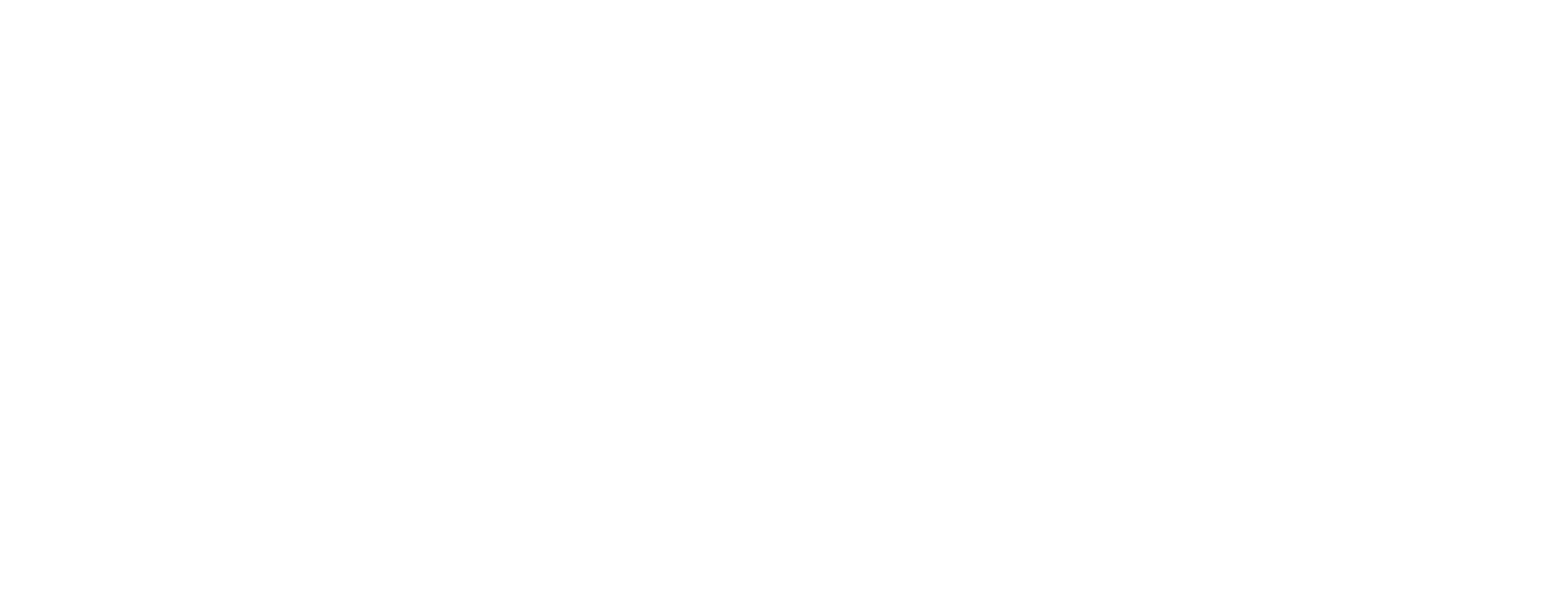 logo laystone